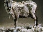 260° L'état veut déshabiller transexuels.