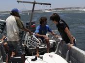 [NICARAGUA] Petit trip quelques semaine