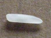 Dans lequel vendeurs photos sont pros