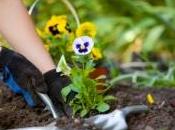 nouvelles vertus thérapeutiques dues jardinage