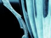 homme embrasse personnes minute