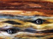 Strabisme divergent...