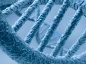 Découverte d'un gène impliqué dans déclenchement puberté