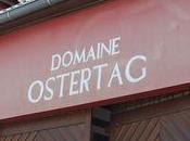 Domaine Ostertag terroirs