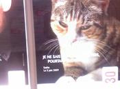 Millions d'amis l'animal egal l'homme