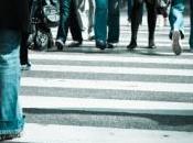 piéton mordu pour avoir traversé trop lentement