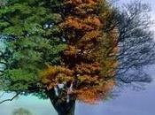 Aware Image Resizing