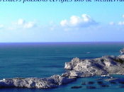 poisson méditerranée