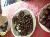 D'une activité l'autre