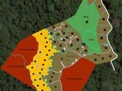 Selva Encantada eco-communauté conçue prédateurs immobiliers