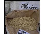 retour soja non-OGM États-Unis?