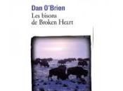 O’Brien bisons Broken Heart
