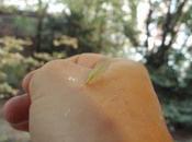 Petits instants vacances