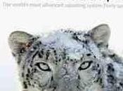Snow Leopard août