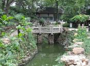 Jardin traditionnel chinois