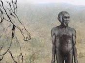 L'Homo floresiensis: premier sortir d'Afrique