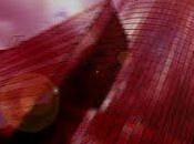 Quand contestent taxe publique devant Bruxelles