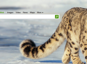 Live.com fait promo Snow Leopard