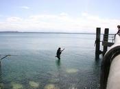 usage cruise waterline Neuchâtel