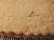 Biscuits sablés pâte haricots rouges (azuki) gingembre