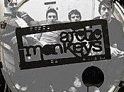 Cornerstone second single Arctic Monkeys