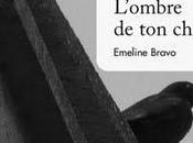 L'ombre chat, d'Emeline Bravo