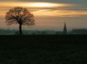 Paysage Cotentin Alors l'hiver...