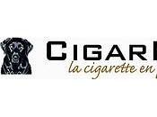 Cigarpax eliquides