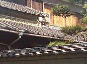 ~Road trip Japan ->Maison traditionnelle château Muragame~