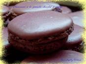 rond rond... petits macarons