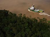 étude Greenpeace prouve l’inefficacité accords “compensation carbone”
