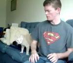 Quelques vidéos insolites (Vol 115)