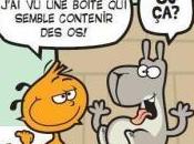 strip démon orange midi Nelson ActuaLitté