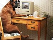 jour fait votre chien pendant absence