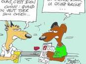 cette plainte, elle vient