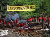victoire Indonésie contre déforestation géants papier voit activités suspendues