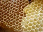 Pourquoi abeilles fabriquent alvéoles sous forme l’on connait