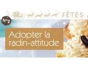 Adopter radin-attitude