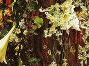 fleurs coupées auraient effet positif l'humeur sentiments