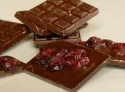 Chocolat sans sucre brûle graisses cranberries