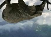 conseiller d’Investia fait perdre millions clients