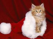 Petite animation noël tous toutes