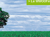 WWOOFing, c'est découvrir France d’une autre manière