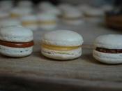 Plus d'excuses pour rater macarons