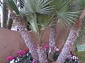 souffrances espoirs.jpg