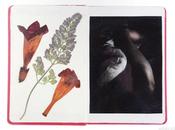 Notebooks Plateform Magazine