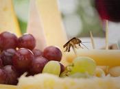 jour Plutôt choisir mort… [Insecticide]