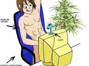 Félicie aussi Improvisation