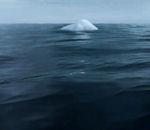 Greenpeace (Iceberg)
