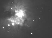 nébuleuse d’Orion noir blanc